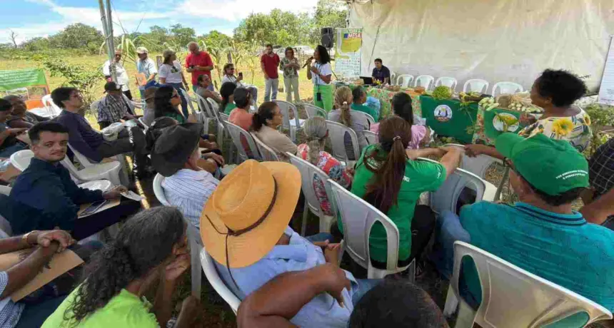 Projeto fortalece agricultura familiar e valoriza a biodiversidade
