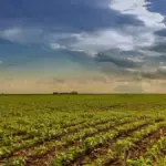Pesquisa do Goiás Verde aponta que agro goiano pode ser sustentável