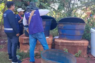 Chikungunya: entenda doença que preocupa Mato Grosso do Sul