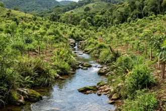 Dia Mundial da Água: monitoramento reforça segurança hídrica e transparência da Anglo American