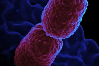 Hospital em Campinas restringe atendimento para conter superbactéria