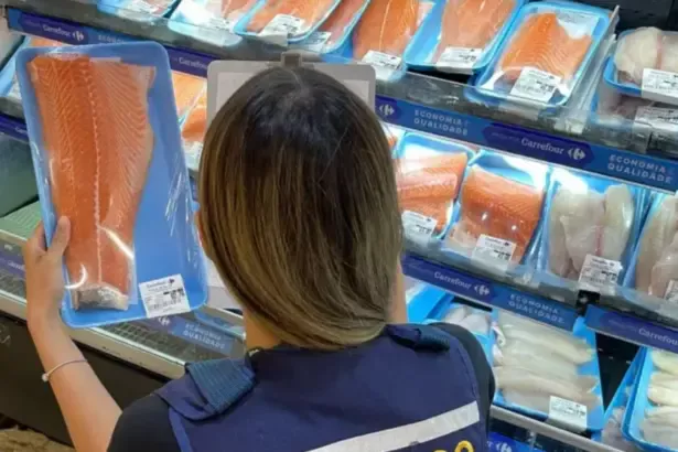 Procon-GO encontra variação de até 267% em preços dos pescados