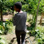 Horta comunitária reúne memória, cuidado e cidadania em favela do Rio