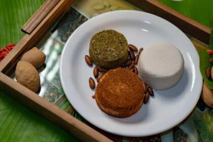 Queijo vegetal de baru impulsiona negócio no Cerrado com apoio do Sebraetec | ASN Goiás