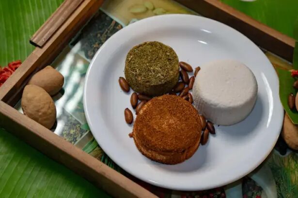 Queijo vegetal de baru impulsiona negócio no Cerrado com apoio do Sebraetec | ASN Goiás