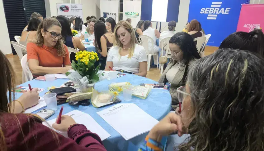 Itaberaí recebe Sebrae Delas com workshop de planejamento | ASN Goiás