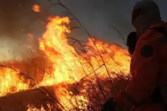 Brigadas comunitárias abrem vagas no Nordeste goiano