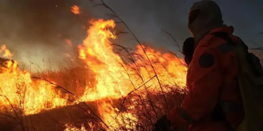 Brigadas comunitárias abrem vagas no Nordeste goiano