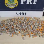 PRF realiza maior apreensão de medicamentos para emagrecimento em Goiás