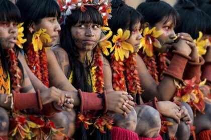 Programa de saúde do governo já atendeu mais de 24 mil indígenas