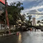 Goiás deve enfrentar sequência de temporais com raios e ventos fortes