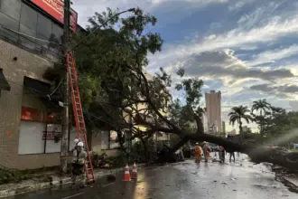 Goiás deve enfrentar sequência de temporais com raios e ventos fortes