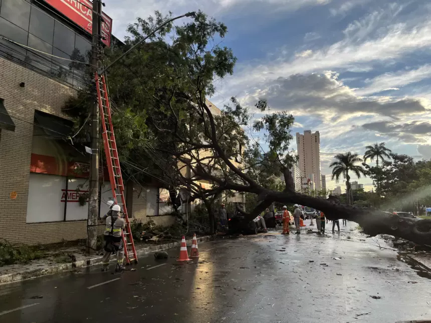 Goiás deve enfrentar sequência de temporais com raios e ventos fortes