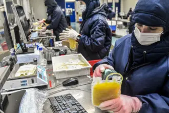 Dia Mundial da Hemofilia: campanha reforça importância do diagnóstico