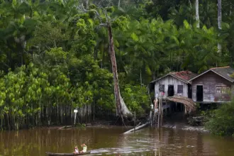 Projeto leva tratamento gratuito a doenças negligenciadas no Amazonas