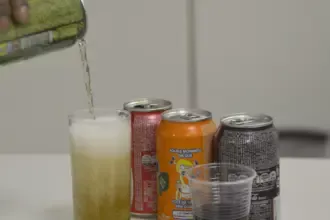 Fatores sociais empurram famílias para ultraprocessados, diz pesquisa