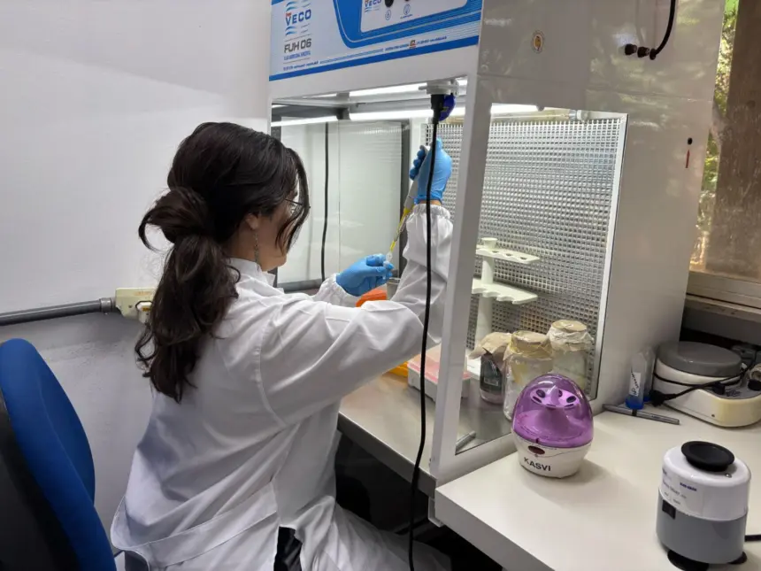 Lançado edital da Fapeg que leva pós-graduandos de Goiás a missões de pesquisa no exterior