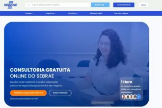 Sebrae cria página de Consultoria Online gratuita voltada a empreendedores goianos