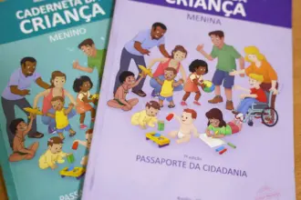 Vacinação com a Pneumo 20 pelo SUS começa em duas semanas, diz Padilha