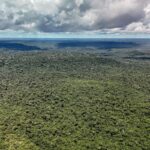 Adversária em campo, Noruega é parceira de ações ambientais do Brasil