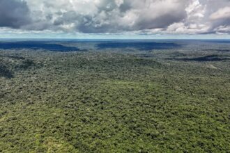 Adversária em campo, Noruega é parceira de ações ambientais do Brasil