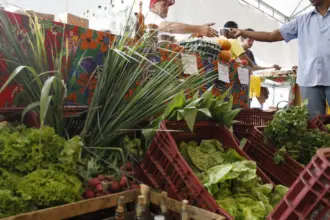 Decreto adia exigência de CNPJ para autônomos e produtores rurais