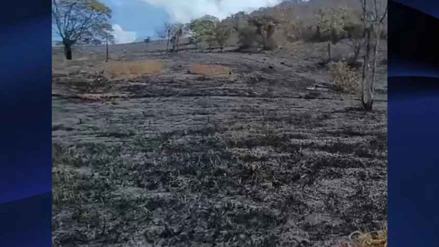Bombeiros controlam incêndio florestal que atingiu 182 hectares em Goianésia