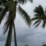 Goiás em alerta para vendaval com rajadas de até 60 km/h