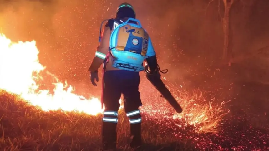 Bombeiros combatem incêndio de grandes proporções em fazenda de Goianésia