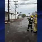 Bombeiros Goianésia controlam incêndio em fiação de poste no Setor Sul