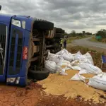 Caminhão de soja tomba em Anápolis após falha mecânica na GO-222