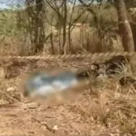 Casal morre após motocicleta sair da pista e bater contra árvore na Br-060