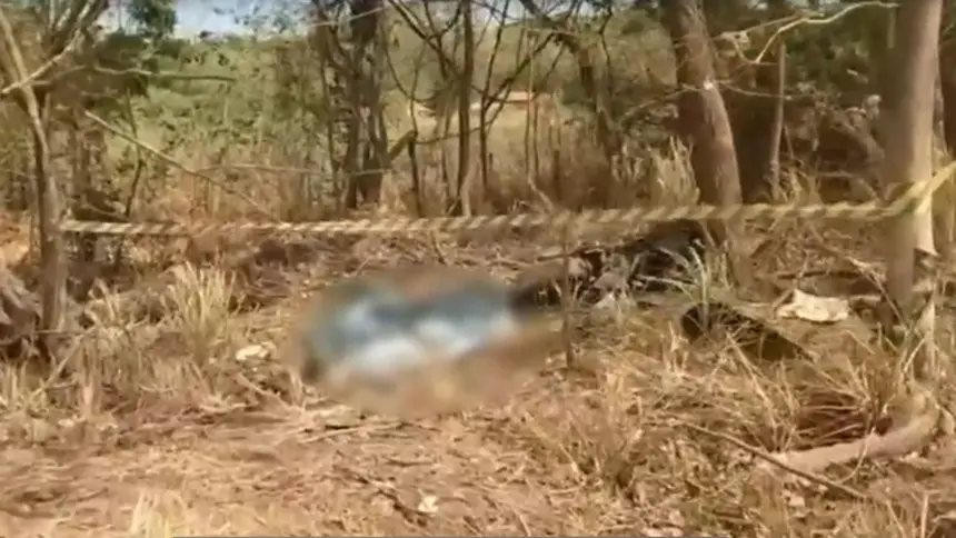 Casal morre após motocicleta sair da pista e bater contra árvore na BR-060 Casal morre após motocicleta sair da pista e bater contra árvore na BR-060