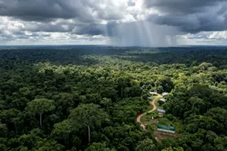 Governo federal autoriza captação de 1 bilhão de dólares junto ao BID para o Eco Invest Brasil