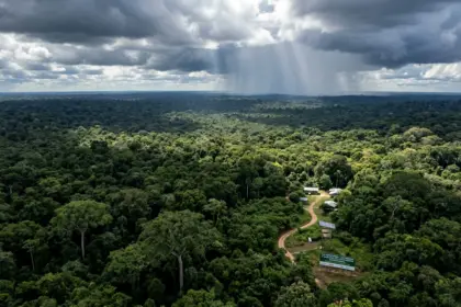 Governo federal autoriza captação de 1 bilhão de dólares junto ao BID para o Eco Invest Brasil