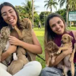 Grupo de proteção animal em Goiânia enfrenta crise financeira e risco de encerramento