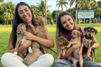 Grupo de proteção animal em Goiânia enfrenta crise financeira e risco de encerramento