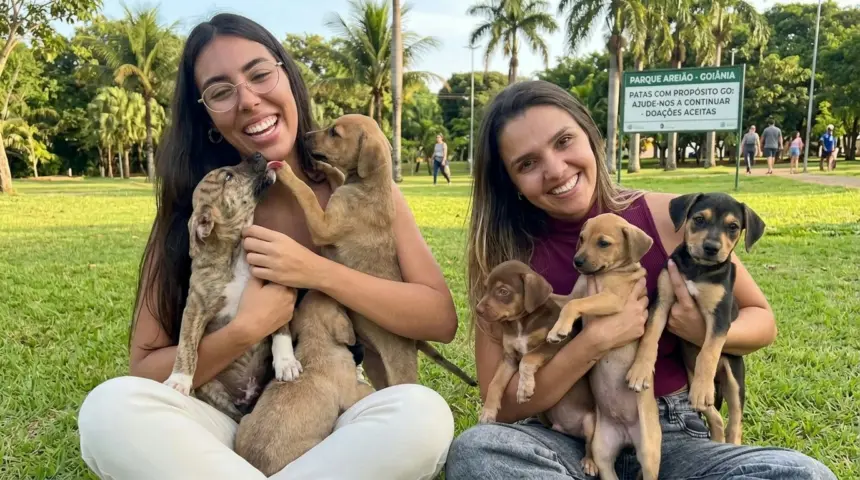 Grupo de proteção animal em Goiânia enfrenta crise financeira e risco de encerramento