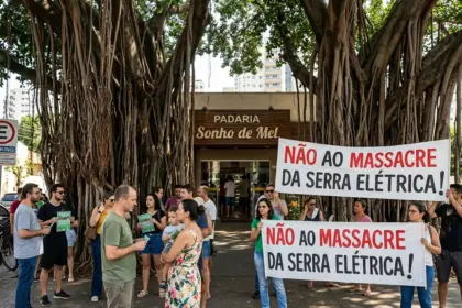 Ministério Público suspende corte de gameleiras históricas na Praça da Cirrose em Goiânia
