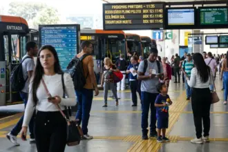 Setor de serviços mantém estabilidade em julho com alta acumulada de 2,4%